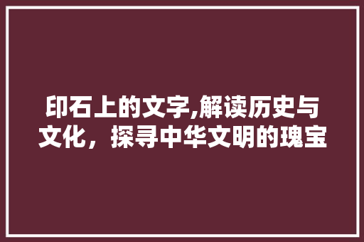 印石上的文字,解读历史与文化，探寻中华文明的瑰宝
