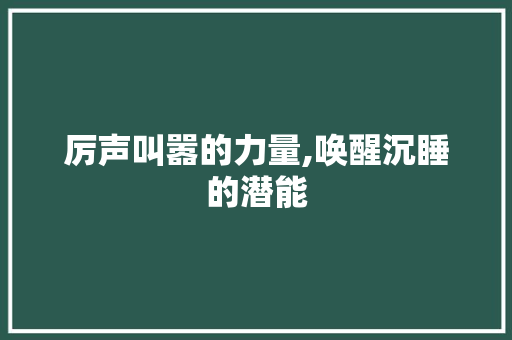 厉声叫嚣的力量,唤醒沉睡的潜能 报告写作