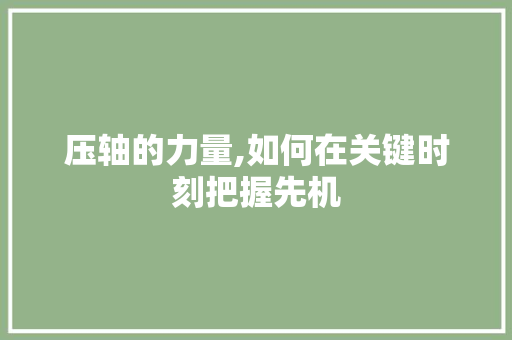 压轴的力量,如何在关键时刻把握先机 词汇积累