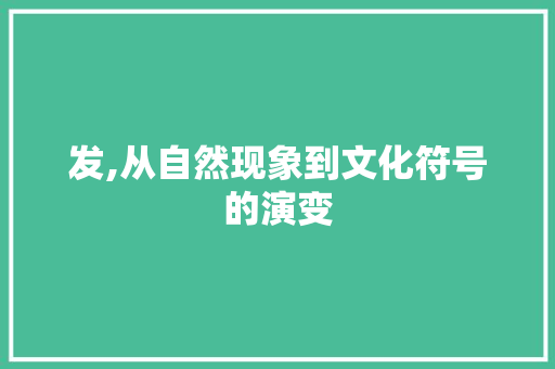 发,从自然现象到文化符号的演变 报告写作