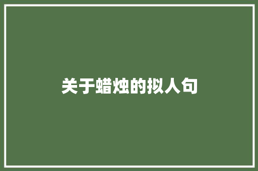关于蜡烛的拟人句 商业文案