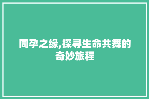 同孕之缘,探寻生命共舞的奇妙旅程 词汇积累