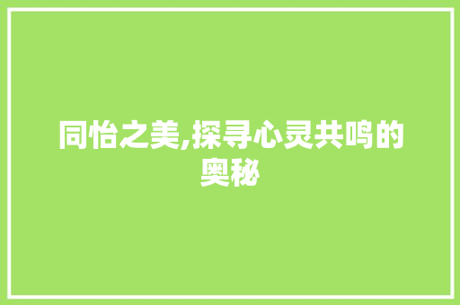 同怡之美,探寻心灵共鸣的奥秘
