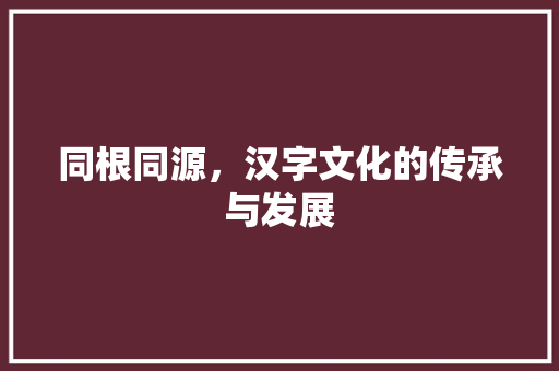 同根同源，汉字文化的传承与发展
