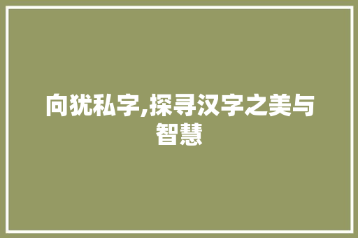 向犹私字,探寻汉字之美与智慧 写作社区