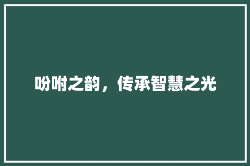 吩咐之韵，传承智慧之光