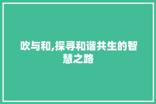 吹与和,探寻和谐共生的智慧之路