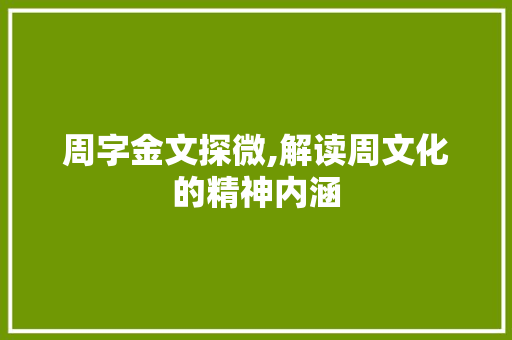 周字金文探微,解读周文化的精神内涵