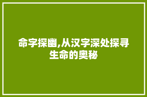 命字探幽,从汉字深处探寻生命的奥秘