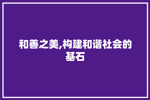 和善之美,构建和谐社会的基石 报告写作