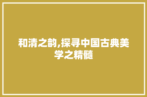 和清之韵,探寻中国古典美学之精髓