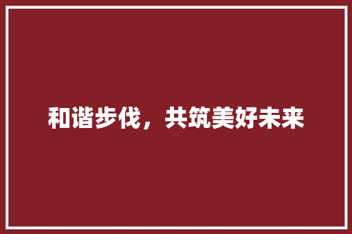和谐步伐，共筑美好未来