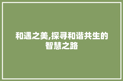 和遇之美,探寻和谐共生的智慧之路