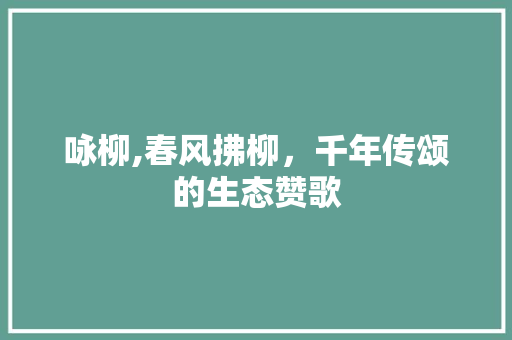 咏柳,春风拂柳，千年传颂的生态赞歌