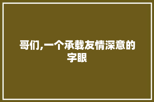 哥们,一个承载友情深意的字眼 写作素材