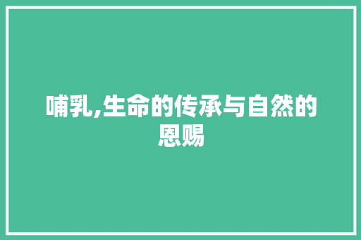 哺乳,生命的传承与自然的恩赐