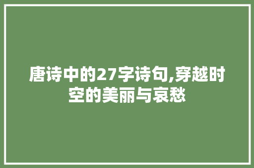 唐诗中的27字诗句,穿越时空的美丽与哀愁