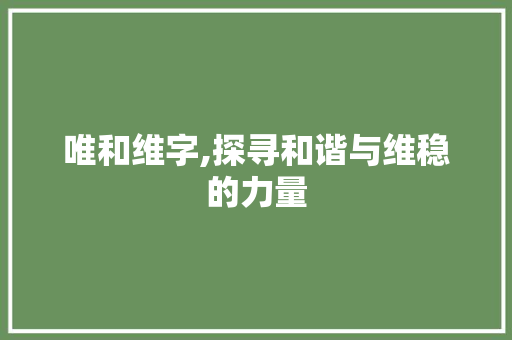 唯和维字,探寻和谐与维稳的力量