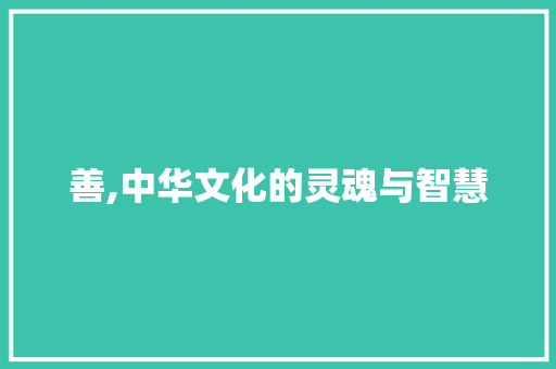 善,中华文化的灵魂与智慧 词汇积累