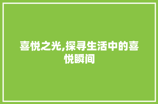 喜悦之光,探寻生活中的喜悦瞬间