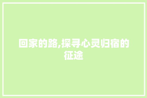 回家的路,探寻心灵归宿的征途