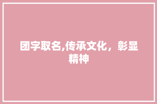团字取名,传承文化，彰显精神