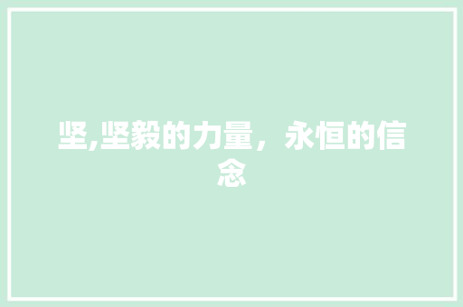 坚,坚毅的力量，永恒的信念