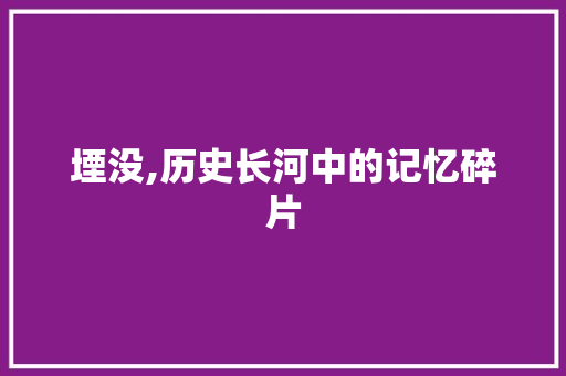 堙没,历史长河中的记忆碎片 诗歌创作