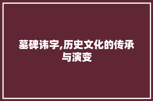 墓碑讳字,历史文化的传承与演变 范文赏析