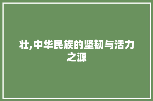 壮,中华民族的坚韧与活力之源 范文赏析