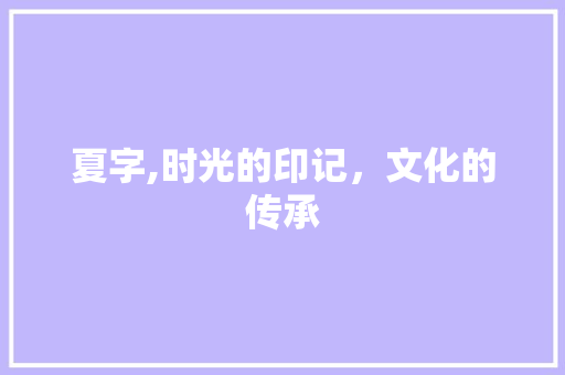 夏字,时光的印记，文化的传承