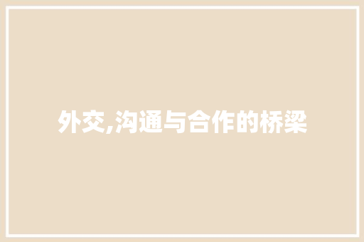 外交,沟通与合作的桥梁
