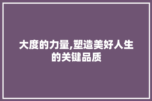 大度的力量,塑造美好人生的关键品质 报告写作