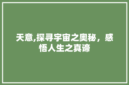 天意,探寻宇宙之奥秘，感悟人生之真谛