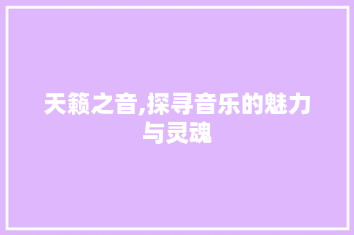 天籁之音,探寻音乐的魅力与灵魂 商业文案