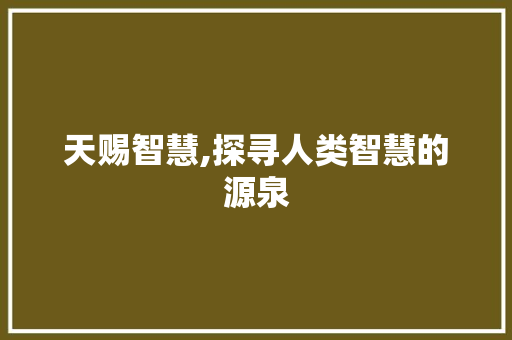 天赐智慧,探寻人类智慧的源泉
