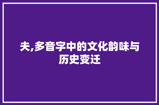 夫,多音字中的文化韵味与历史变迁 范文赏析