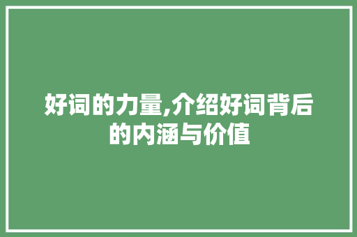 好词的力量,介绍好词背后的内涵与价值 商业文案