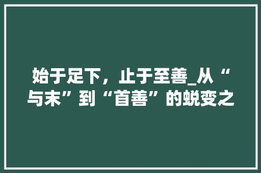 始于足下，止于至善_从“与末”到“首善”的蜕变之路 写作素材