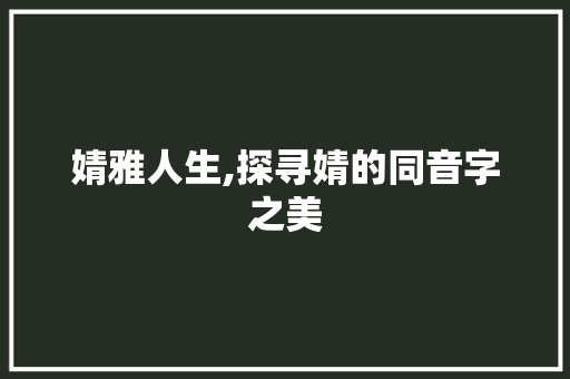 婧雅人生,探寻婧的同音字之美