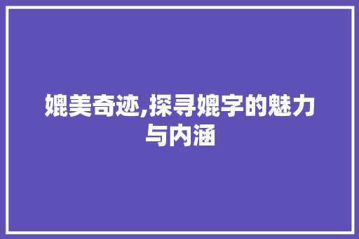 媲美奇迹,探寻媲字的魅力与内涵