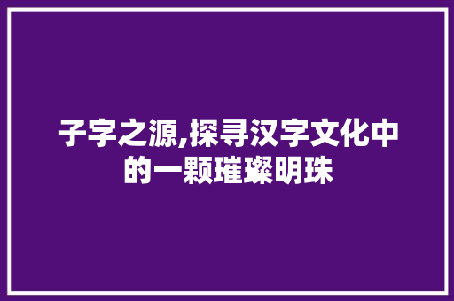 子字之源,探寻汉字文化中的一颗璀璨明珠