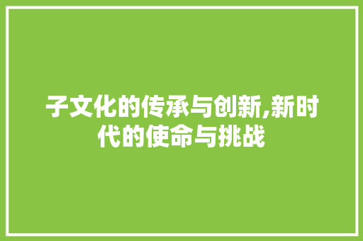 子文化的传承与创新,新时代的使命与挑战 简历模板