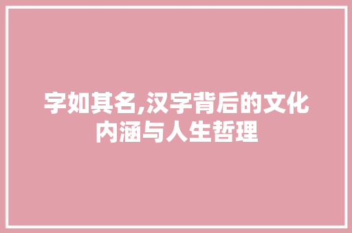 字如其名,汉字背后的文化内涵与人生哲理 报告写作