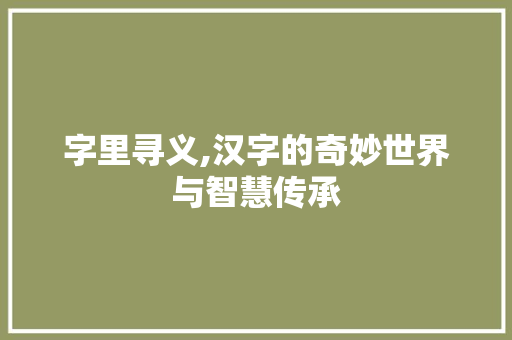 字里寻义,汉字的奇妙世界与智慧传承 范文赏析