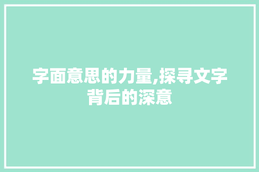 字面意思的力量,探寻文字背后的深意