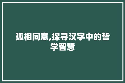 孤相同意,探寻汉字中的哲学智慧