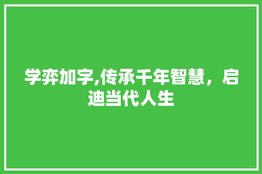 学弈加字,传承千年智慧，启迪当代人生