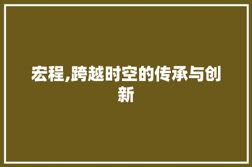 宏程,跨越时空的传承与创新 简历模板