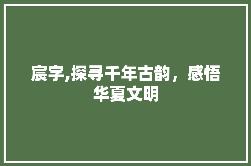 宸字,探寻千年古韵，感悟华夏文明